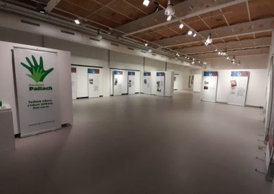 EL MUSEU DEL SURO DE PALAFRUGELL COMMEMORA L’ANY PALLACH AMB L’EXPOSICIÓ ITINERANT DE DIVULGACIÓ DE LA SEVA FIGURA I LA COL-LECCIÓ DE PINTURA PROPIETAT DE LA FUNDACIÓ. 23 de gener 2021